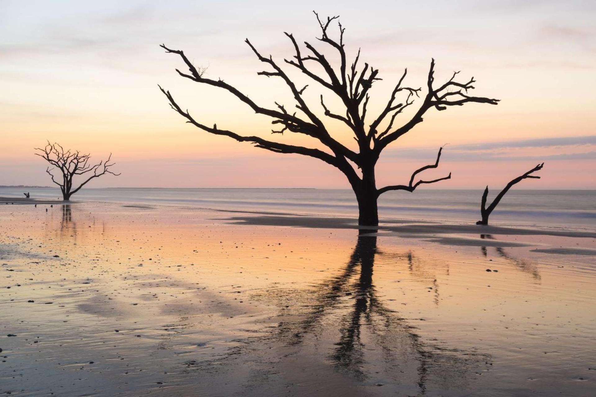 The Treehouse Villa Isle of Palms Exteriör bild